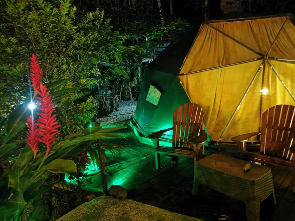 Momotus Glamping Hotel Florencia Exterior photo
